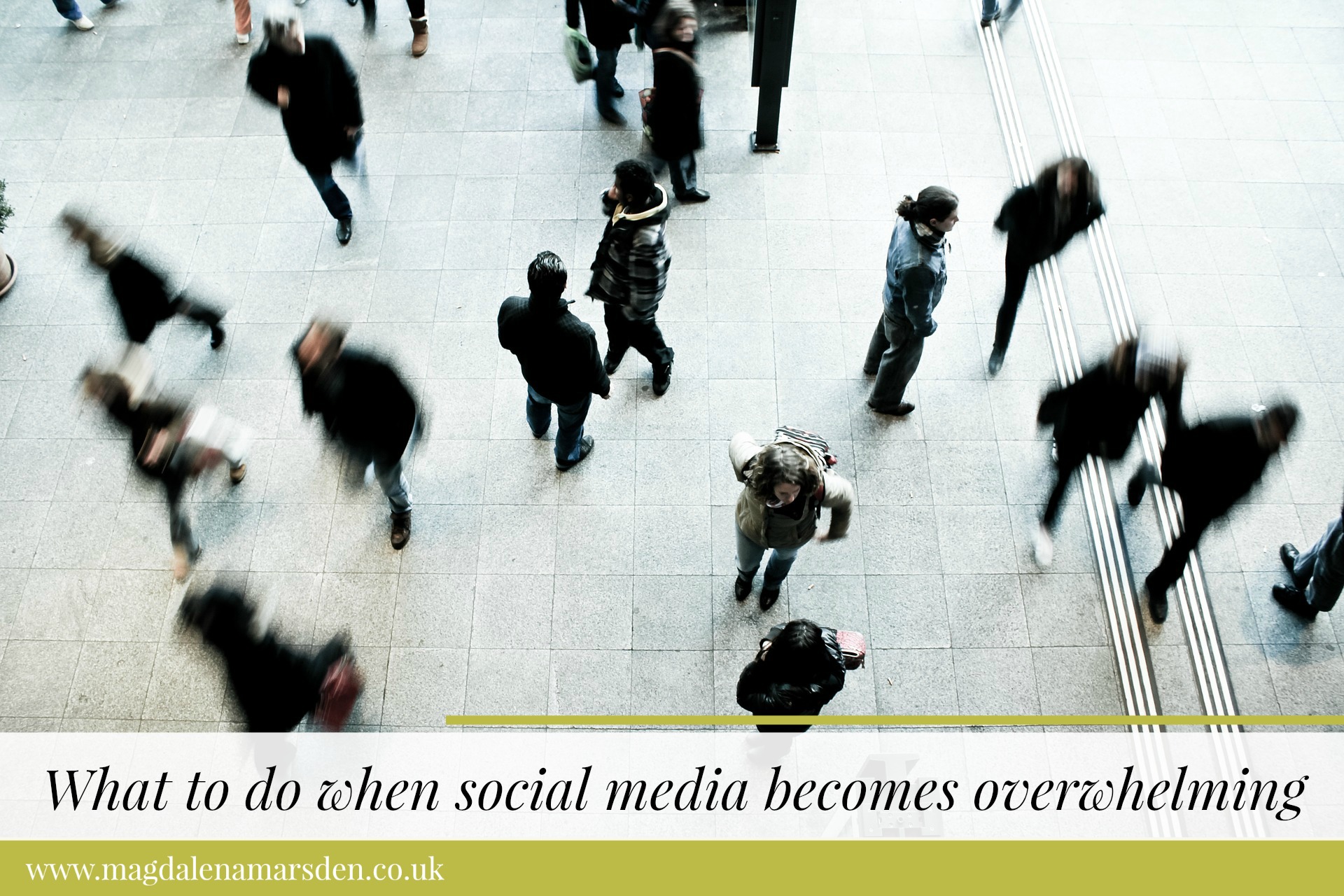 What to do when social media becomes overwhelming