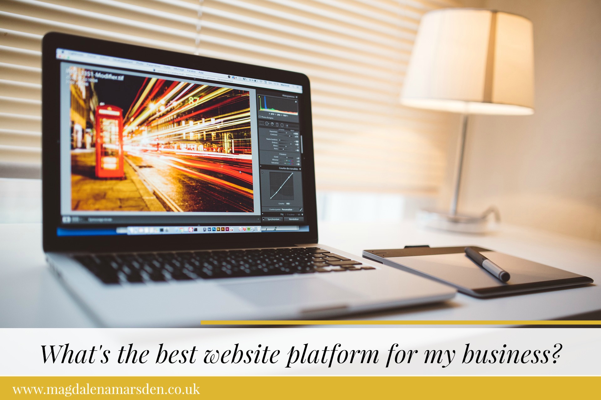 What's the best website platform for my business